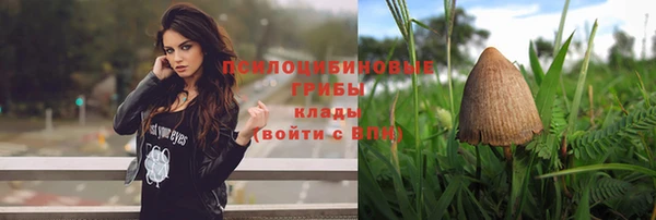 наркотики Богородск