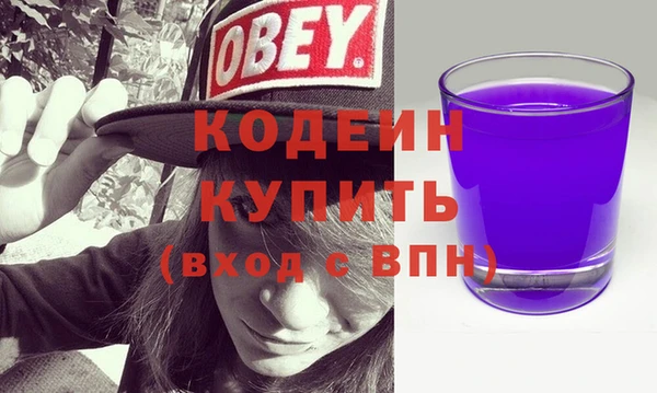 хмурый Бородино