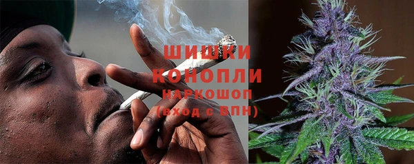 хмурый Бородино