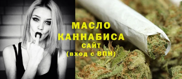 хмурый Бородино