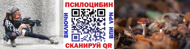 Псилоцибиновые грибы Psilocybe  Горнозаводск 
